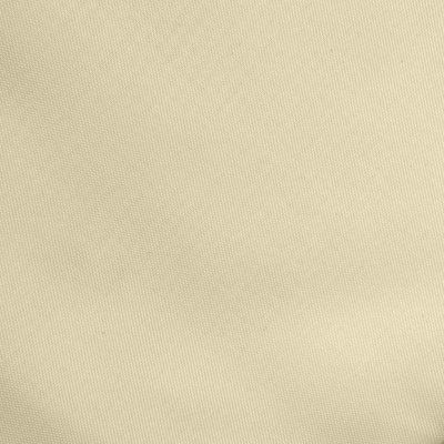 Ткань подкладочная Таффета 14-1014, антист., 53 гр/м2, шир.150см, цвет бежевый - купить в Новокузнецке. Цена 62.37 руб.
