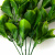 Трава искусственная -1, шт (эвкалипт лист 32 см/8 см)				 - купить в Новокузнецке. Цена: 169.93 руб.