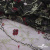 Сетка с вышивкой "Мадрид" 135 г/м2, 100% нейлон, ширина 130 см, Цвет 4/Черный - купить в Новокузнецке. Цена 980 руб.
