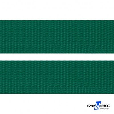 Зелёный- цв.876 -Текстильная лента-стропа 550 гр/м2 ,100% пэ шир.20 мм (боб.50+/-1 м) - купить в Новокузнецке. Цена: 318.85 руб.