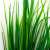 Трава искусственная -2, шт (осока 41см/8 см)				 - купить в Новокузнецке. Цена: 104.57 руб.