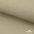 Ткань подкладочная TWILL 230T 14-1108, беж светлый 100% полиэстер,66 г/м2, шир.150 cм - купить в Новокузнецке. Цена 90.59 руб.