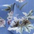 Плательная ткань "Фламенко" 12.1, 80 гр/м2, шир.150 см, принт растительный - купить в Новокузнецке. Цена 241.49 руб.