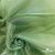 Ткань органза, 100% полиэстр, 28г/м2, шир. 150 см, цв. #27 зеленый - купить в Новокузнецке. Цена 86.24 руб.