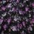 Плательная ткань "Фламенко" 20.1, 80 гр/м2, шир.150 см, принт растительный - купить в Новокузнецке. Цена 241.49 руб.