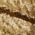 Сетка с пайетками №3, 188 гр/м2, шир.140см, цвет золотой - купить в Новокузнецке. Цена 454.12 руб.