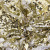 Трикотажное полотно, Сетка с пайетками, шир.130 см, #315, цв.-белый/золото - купить в Новокузнецке. Цена 693.39 руб.