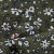 Плательная ткань "Фламенко" 11.2, 80 гр/м2, шир.150 см, принт растительный - купить в Новокузнецке. Цена 259.21 руб.