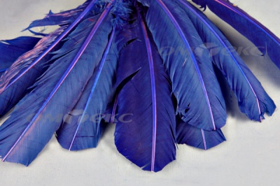 Декоративный Пучок из перьев, перо 23см/синий - купить в Новокузнецке. Цена: 12.34 руб.