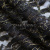 Кружевное полотно XD LACE 1-4, 80 гр/м2, шир.150см, цвет чёрный - купить в Новокузнецке. Цена 245.94 руб.